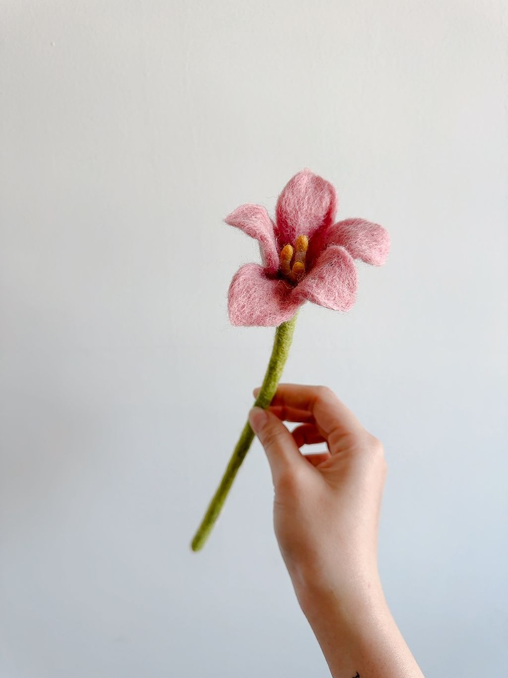 image_E8BDEBB6-8198-48F5-8CC6-7B9622F912CA_1776610440