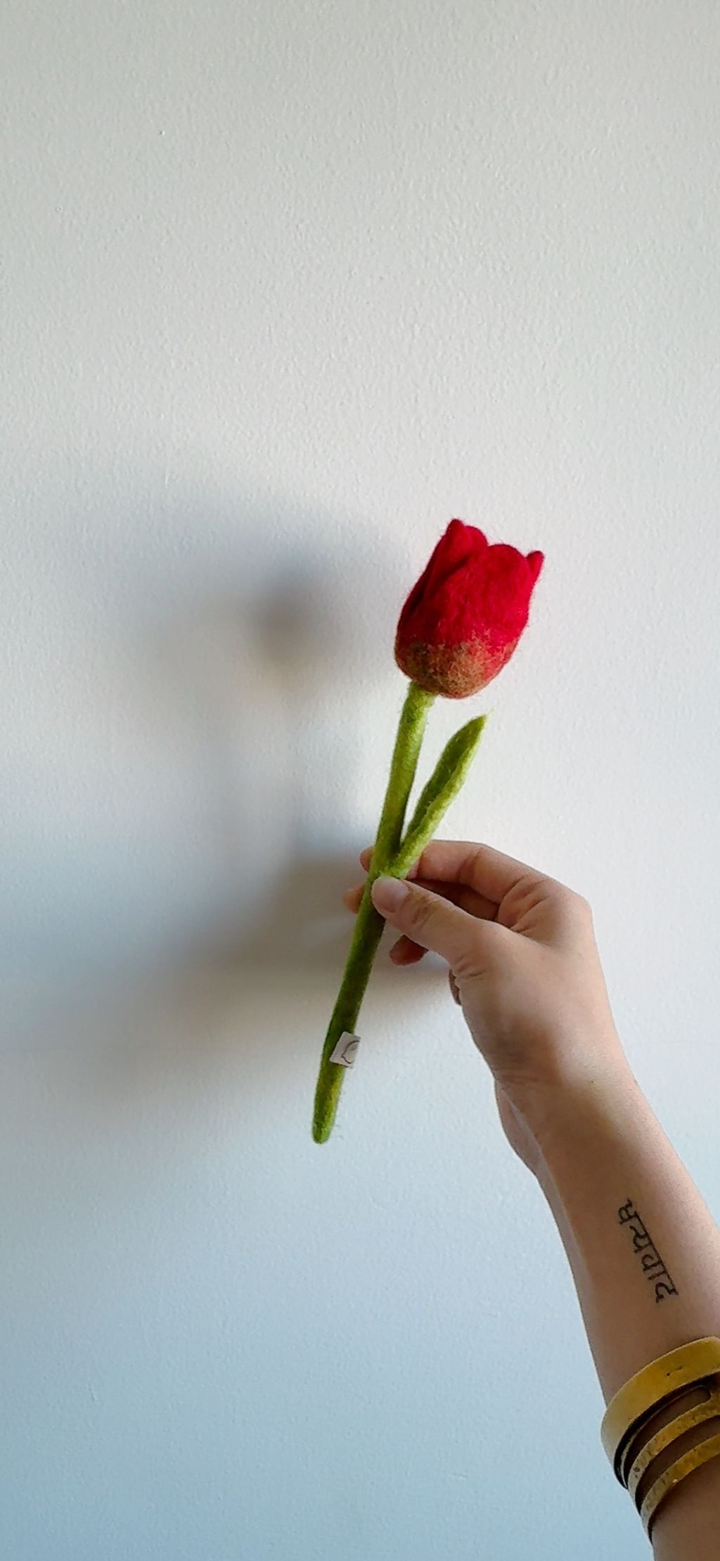 image_8F2D2977-96CE-4268-A101-19E6A3A1EC75_1776610678