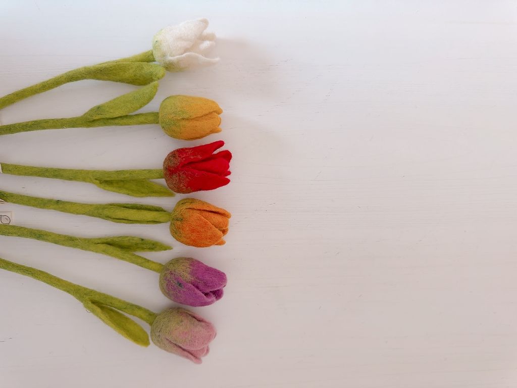 image_226EEADA-75B5-40D4-A651-CB34F1D9D49B_1776610678