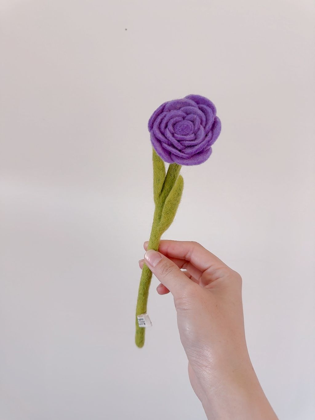 image_DAA3A0FB-4125-4D43-A207-9BDA157A6FAF_1776610859