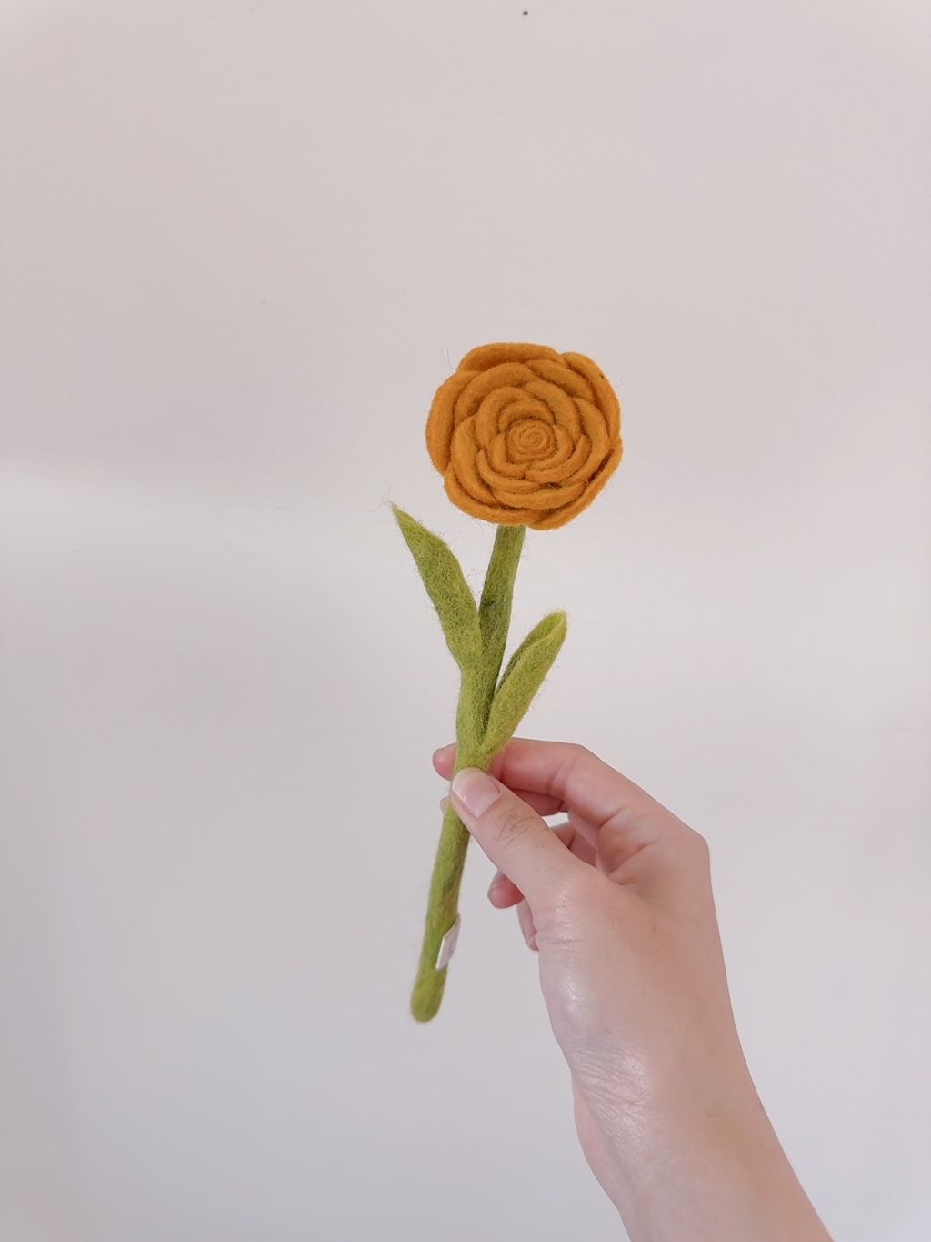 image_85471B77-B35A-4E53-BDE6-16EEDCC0E6CC_1776610859