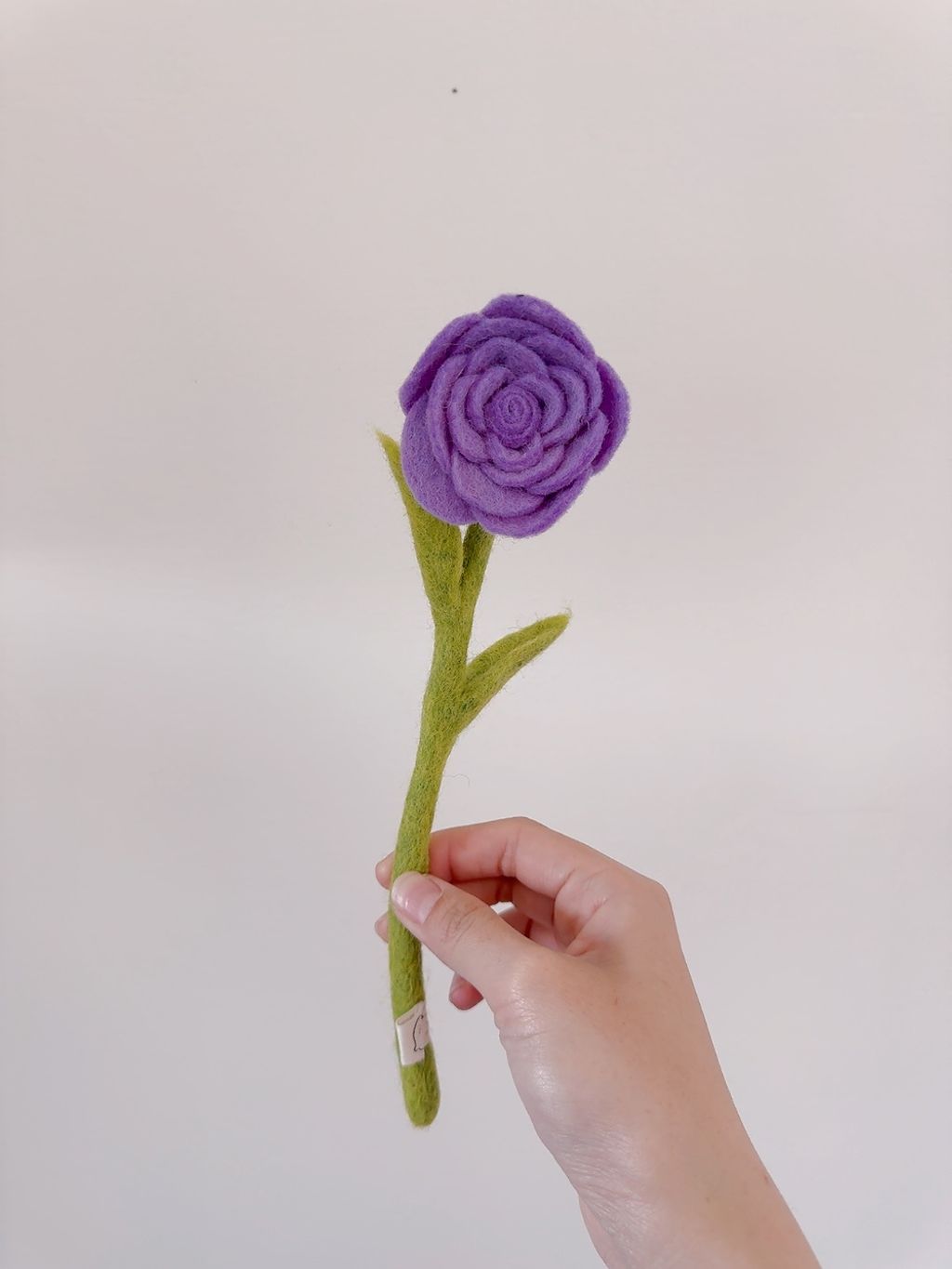 image_FC85D420-854F-4234-ABA8-C6140513FAD1_1776610859