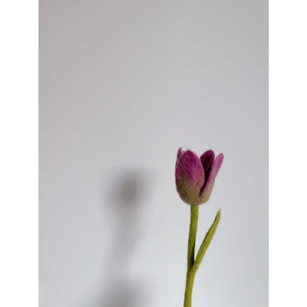 tw-11134207-7qul1-lfvhoafhqsqpe3