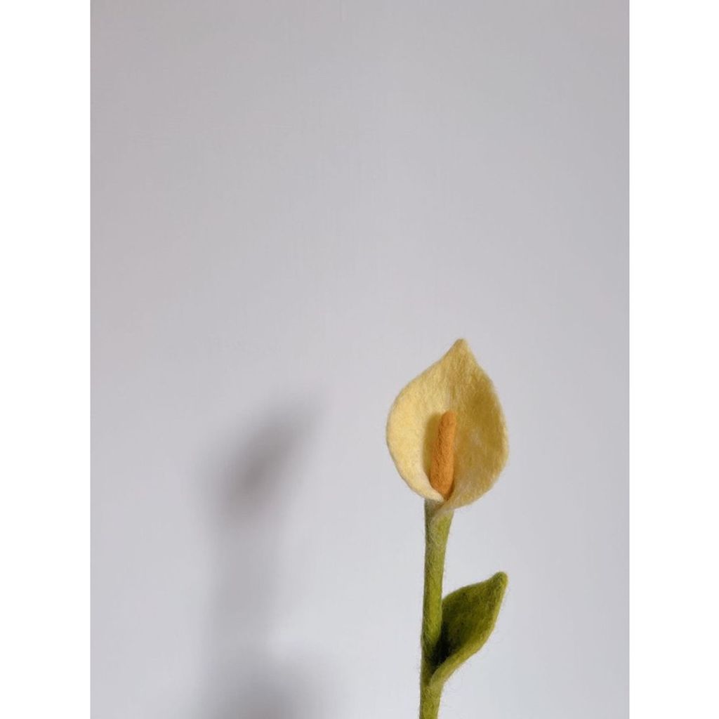 tw-11134207-7qul0-lfvhwg3638qpa4