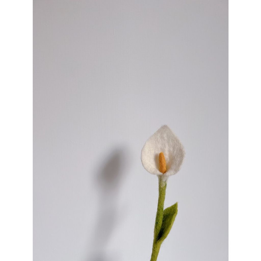 tw-11134207-7qukw-lfvi0y053u9tf5