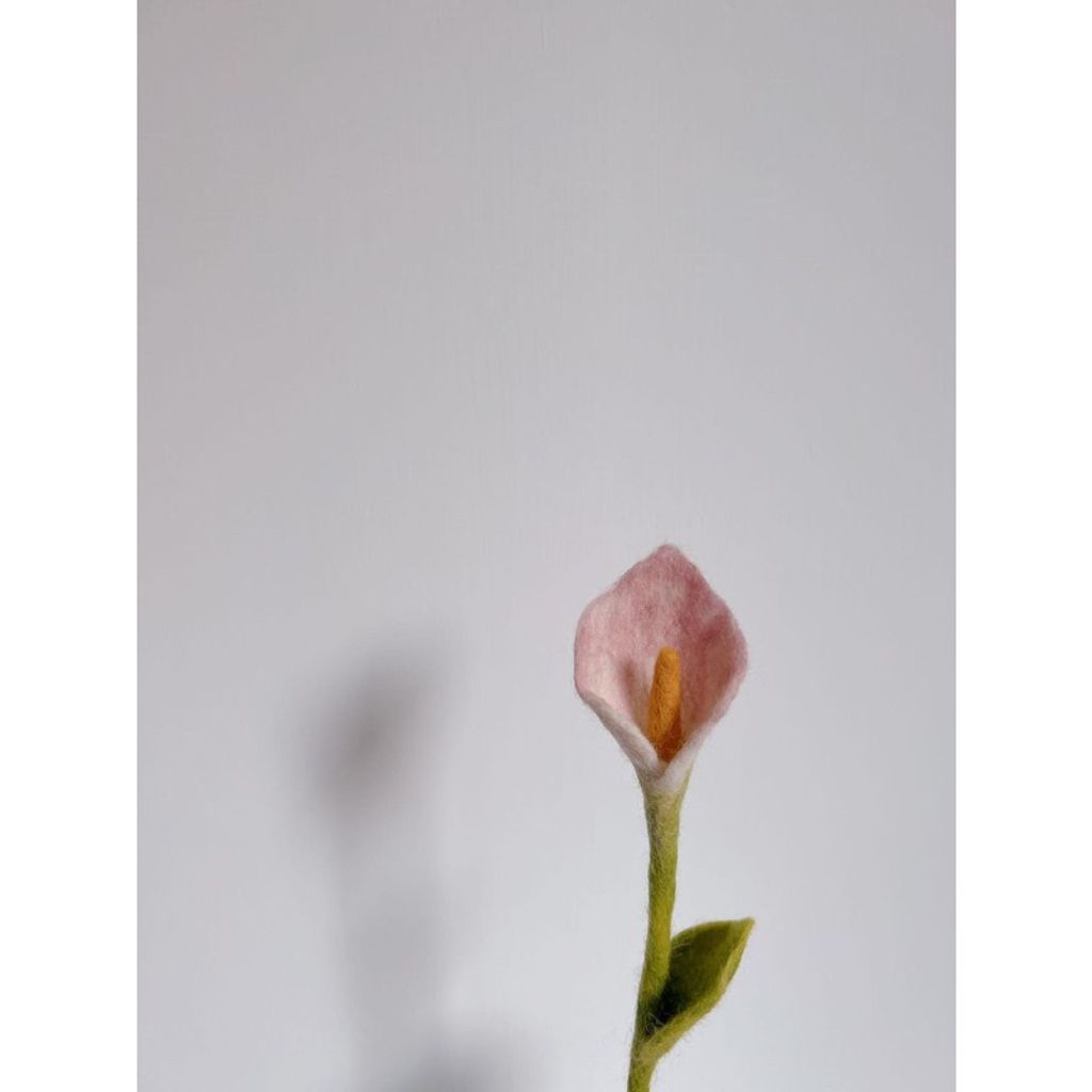 tw-11134207-7qukw-lfvi0y052fpd6e