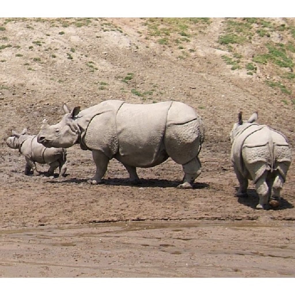 sg-11134201-23010-3yvaf4krwxlva5