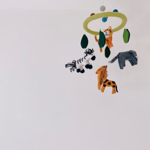 01b9bb576b1022ff544a1a78ce59e5b6