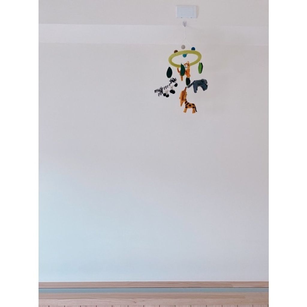 6e673ccdd59028deb7ab61b96aa3e2c0