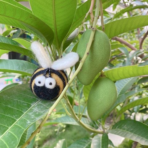 c2482e2fa170d7b18cee9cd421d5e173