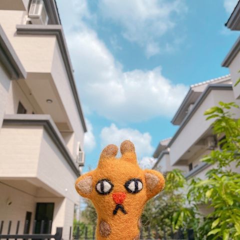 17416bf48abe121c1858cfee013d61b1