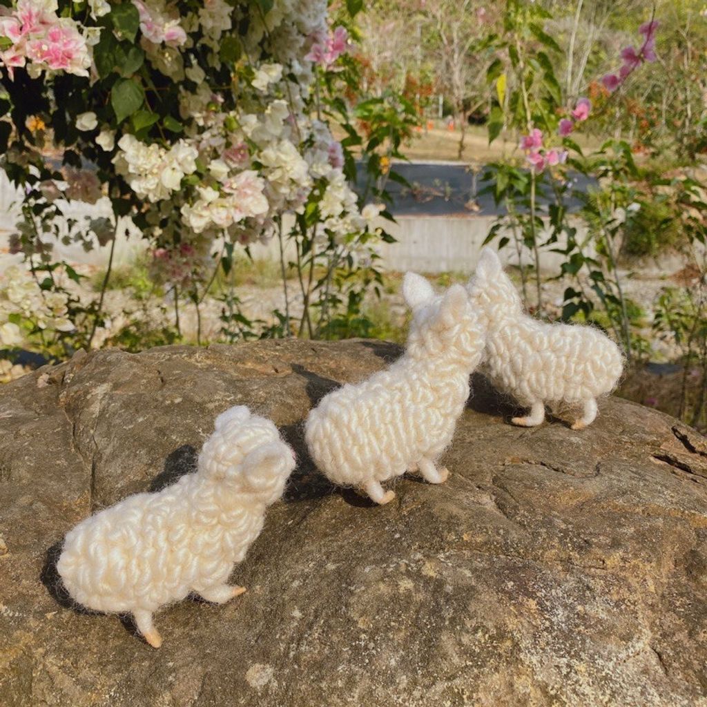 34119a99d8956370473d37b23ec6d99c