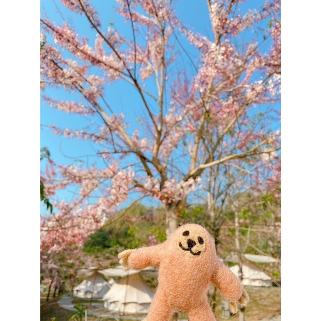 0163197d968f39b1b65cd39fc69c107a