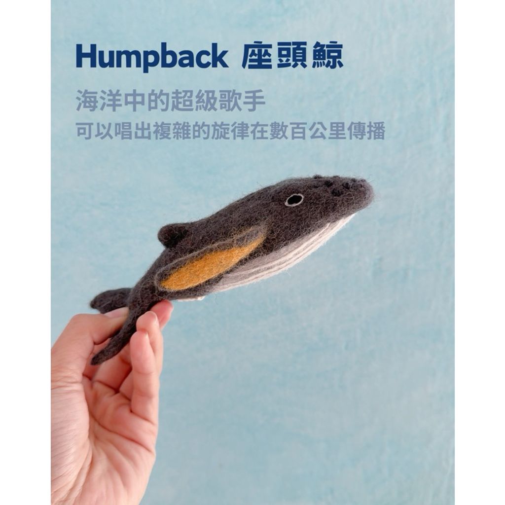 tw-11134207-7rbk2-m7yi20oer5b4aa