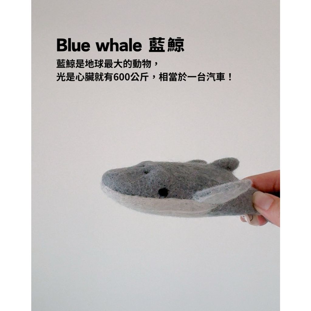 tw-11134207-7rbk5-m7yi2813zs79e3