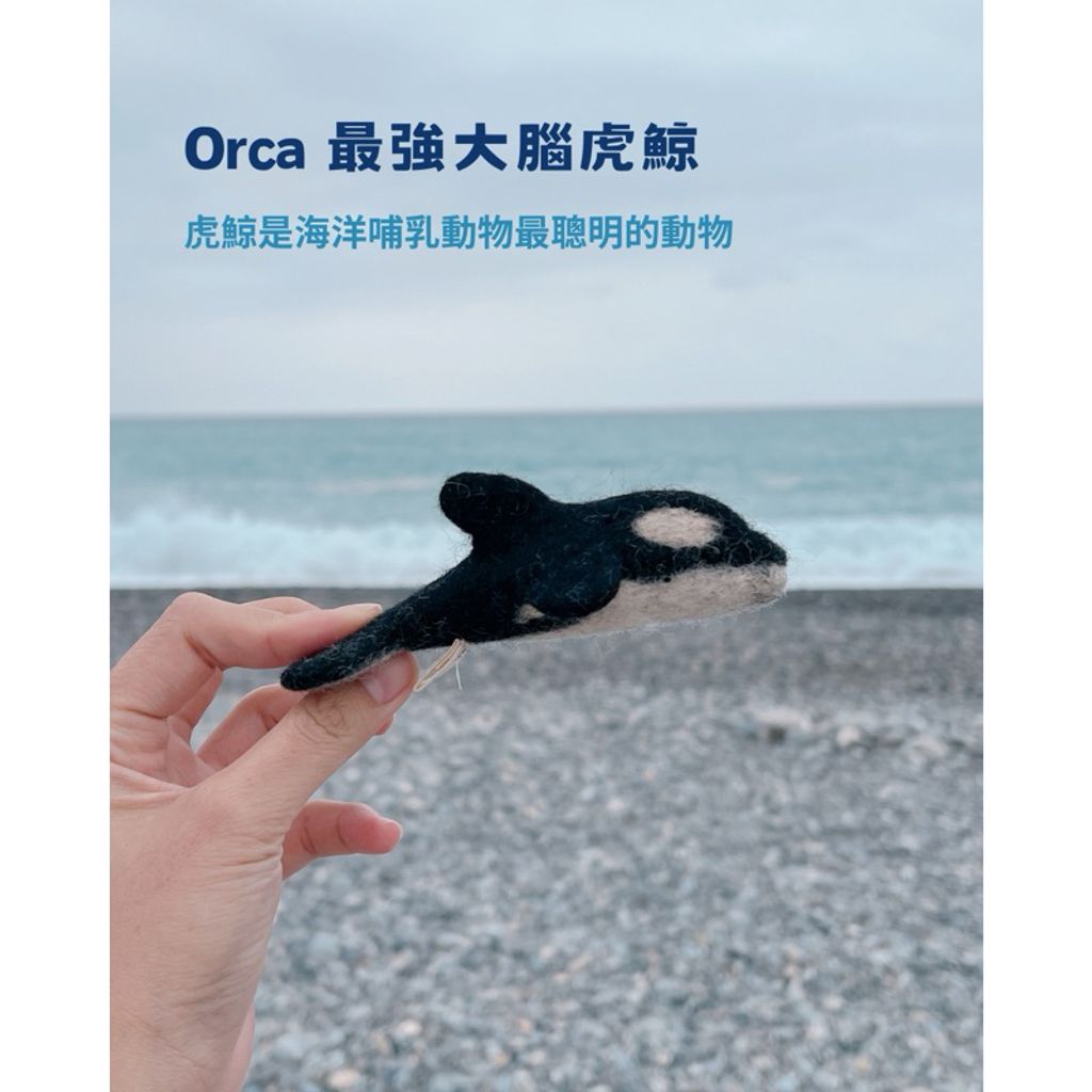 tw-11134207-7rbk9-m7yi2f5hnf6o98