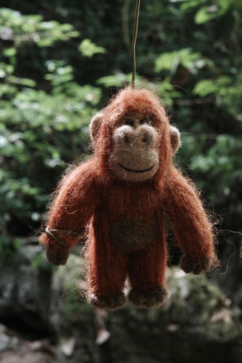 image_9FF4D52F-E230-4A7A-98FD-B81960FC1590_1757423642