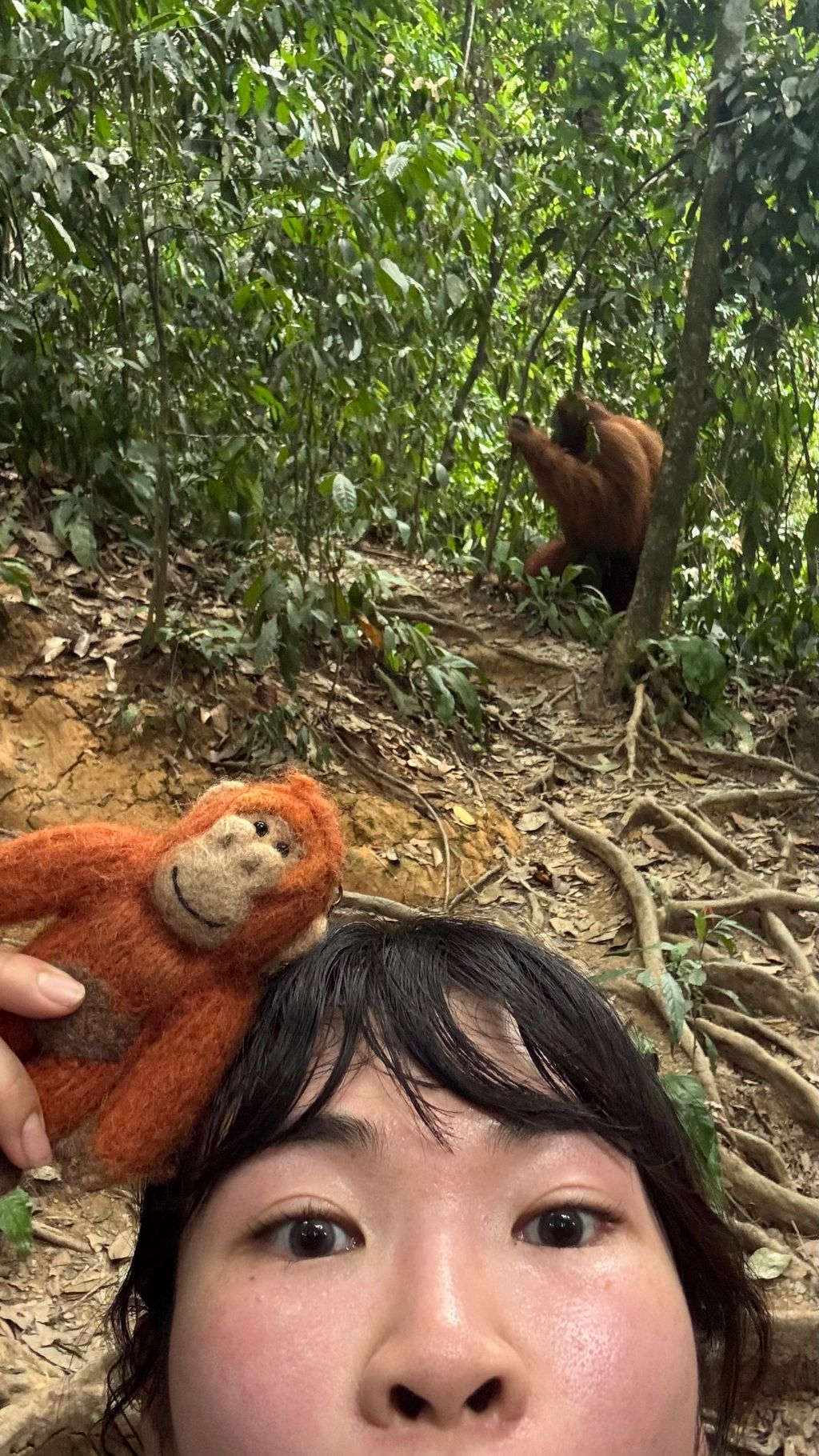 image_ED332FC4-C7EA-4A7D-8D8E-3B569664F2F5_1757423710