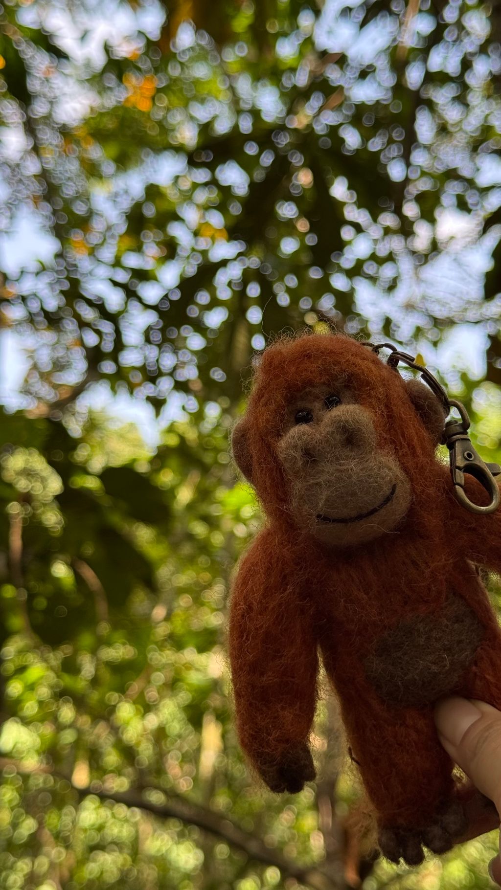 image_4C1DE8F7-6CD4-49D2-9EBF-703D468B3E42_1757423710