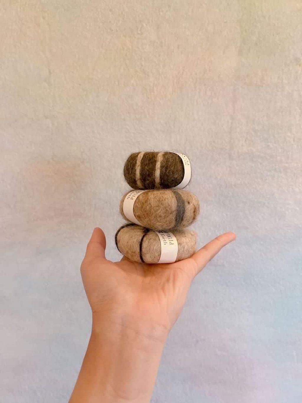 486603242_9401569656545699_4197686829500879099_n