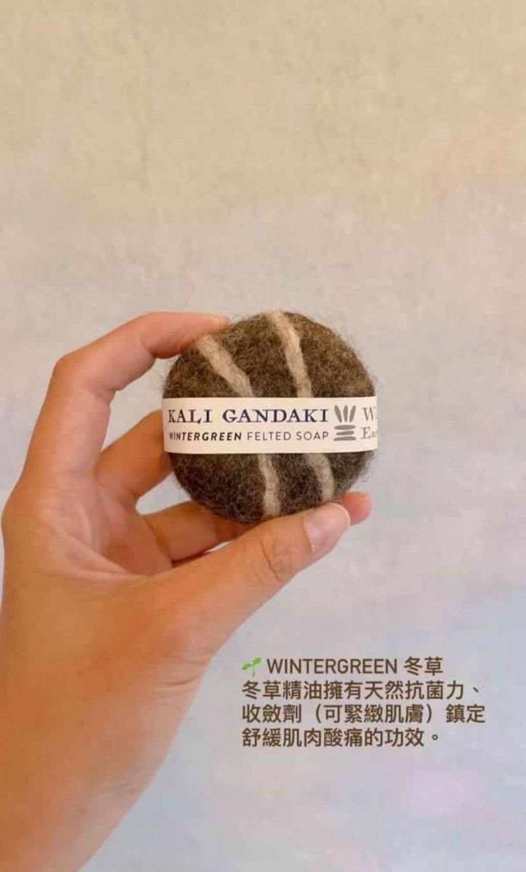 487065534_9401569779879020_1771420050983833852_n