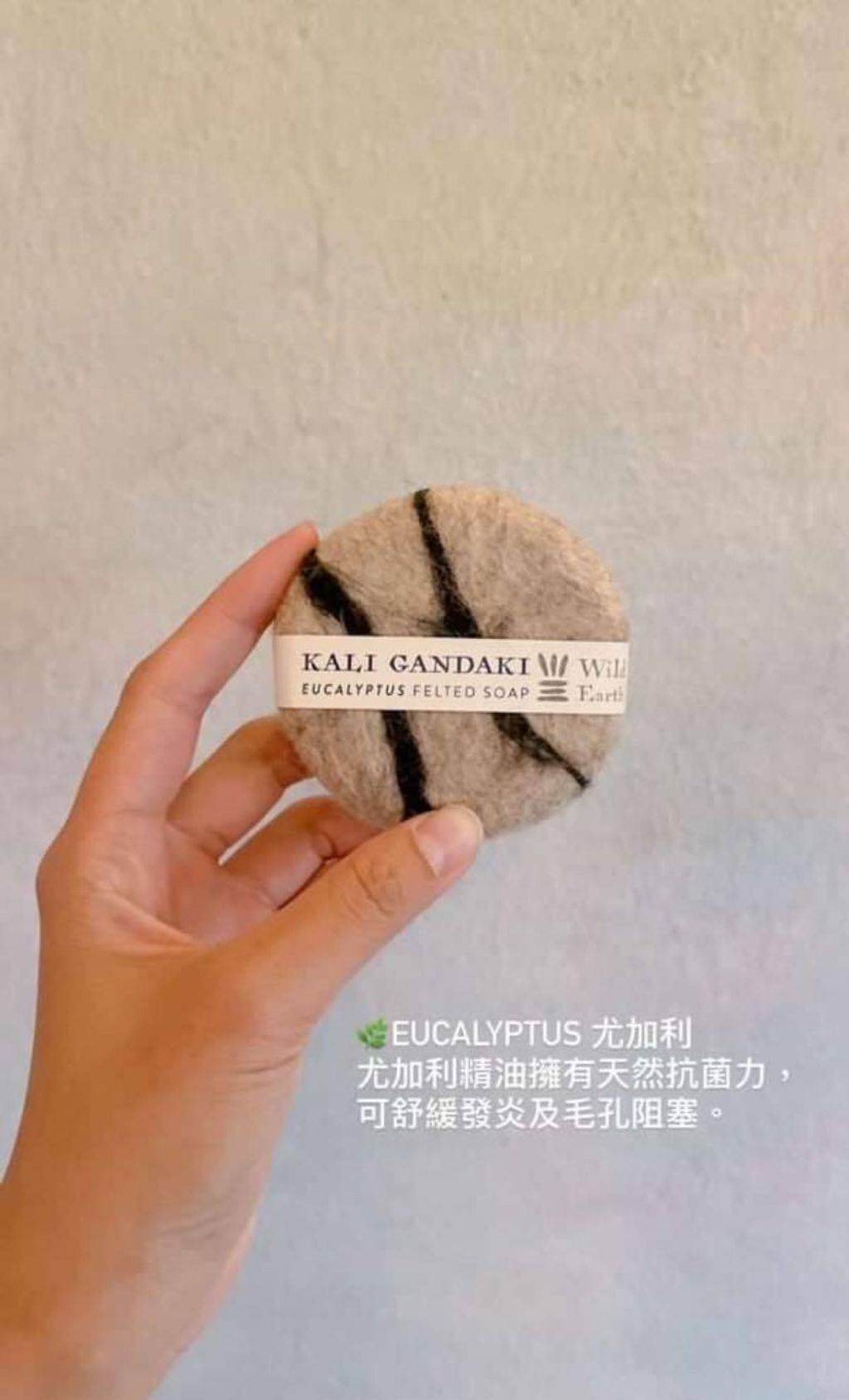 486573864_9401569506545714_643266100134518326_n