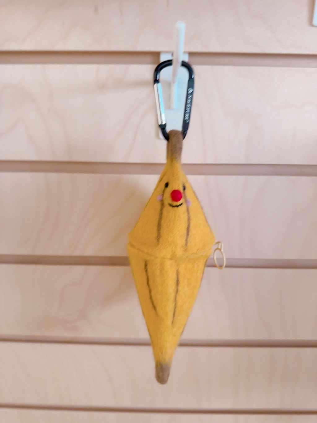 image_87FB80A0-E02A-489B-9E4C-25704D03E409_1767789512