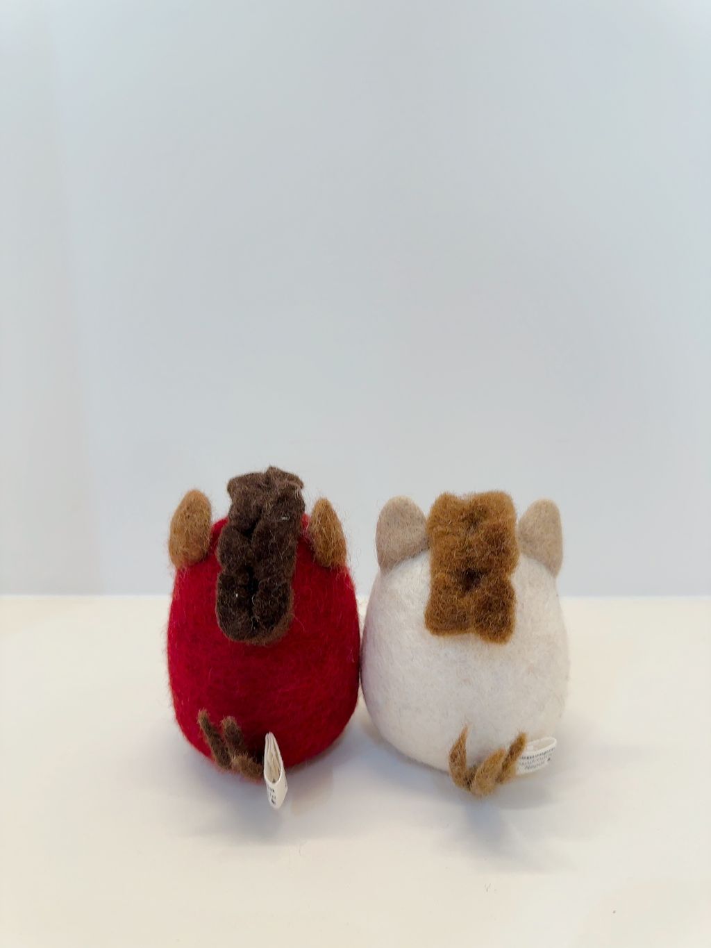 image_E2090151-2B38-467F-9050-7FE3C79AA02D_1767789724