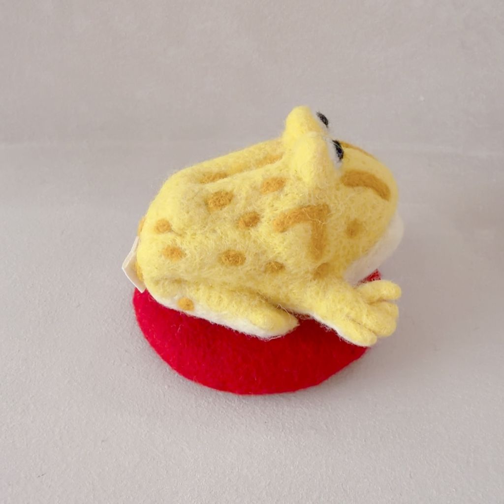 image_E8ABCEAE-81DD-495E-B66A-BB212CA61434_1767790360