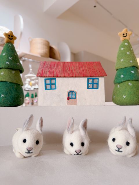 image_ABC6A2AF-4954-4E94-A6F7-597E29B2589A_1767790497