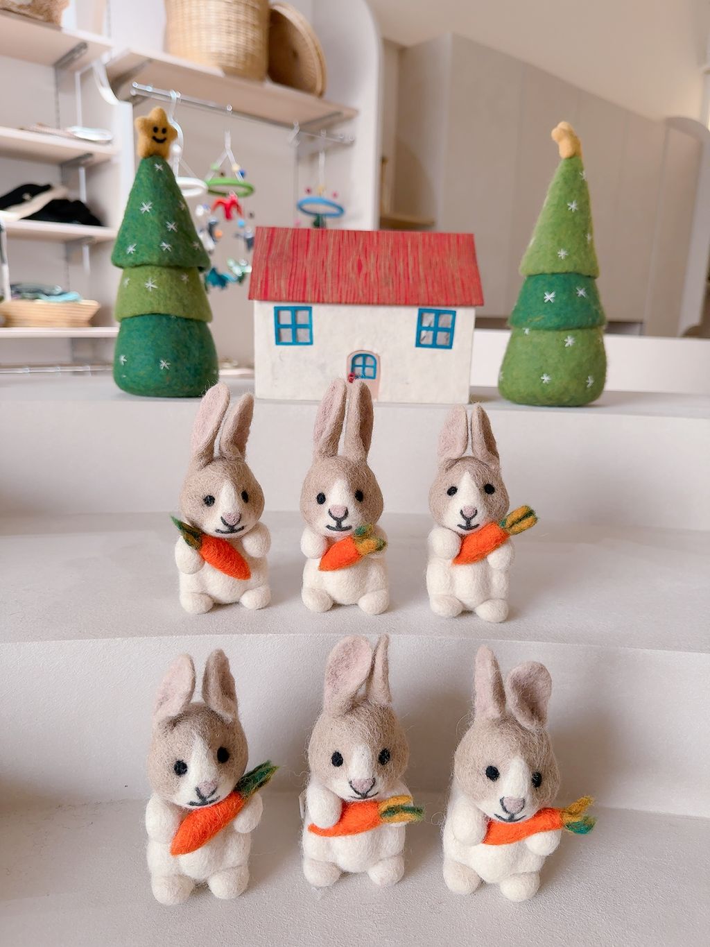 image_1DA97504-F109-43AD-B796-629233F33B66_1767790545