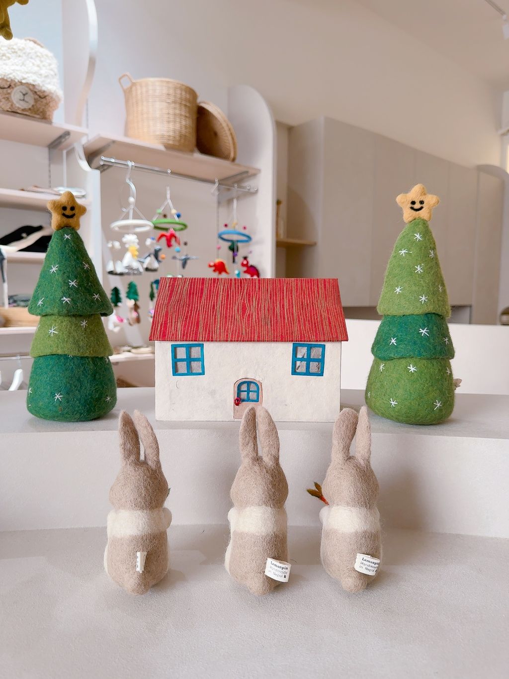 image_C3746296-8A05-4281-A220-696A1EEC8355_1767790545