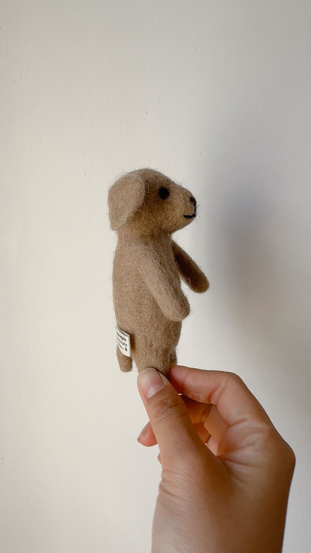 image_73FABE36-1647-4884-9A59-D4BCF91B486D_1767790614