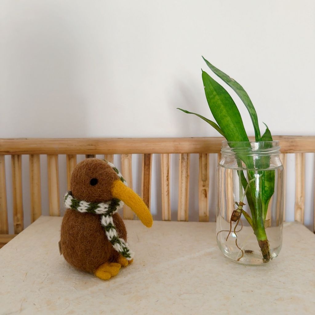 image_1001C05C-5CB0-461A-9A71-77A94665A8DF_1767793720