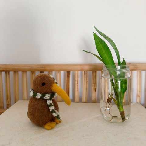 image_1001C05C-5CB0-461A-9A71-77A94665A8DF_1767793720