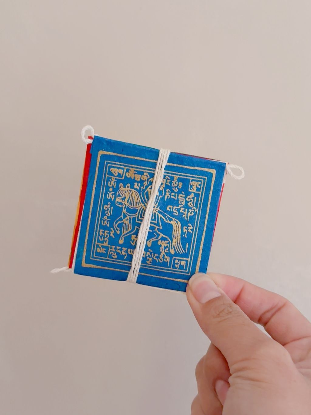 image_51181190-4B3A-4FED-BE43-F9FC108AED81_1767796713