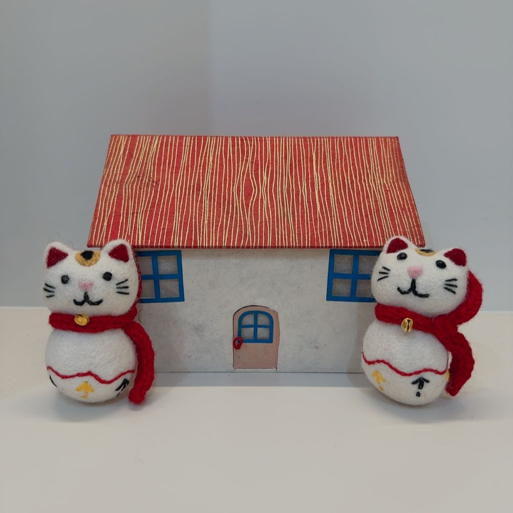 image_6B3B87FC-A287-46D1-AD12-0DB7967BB28F_1767799317