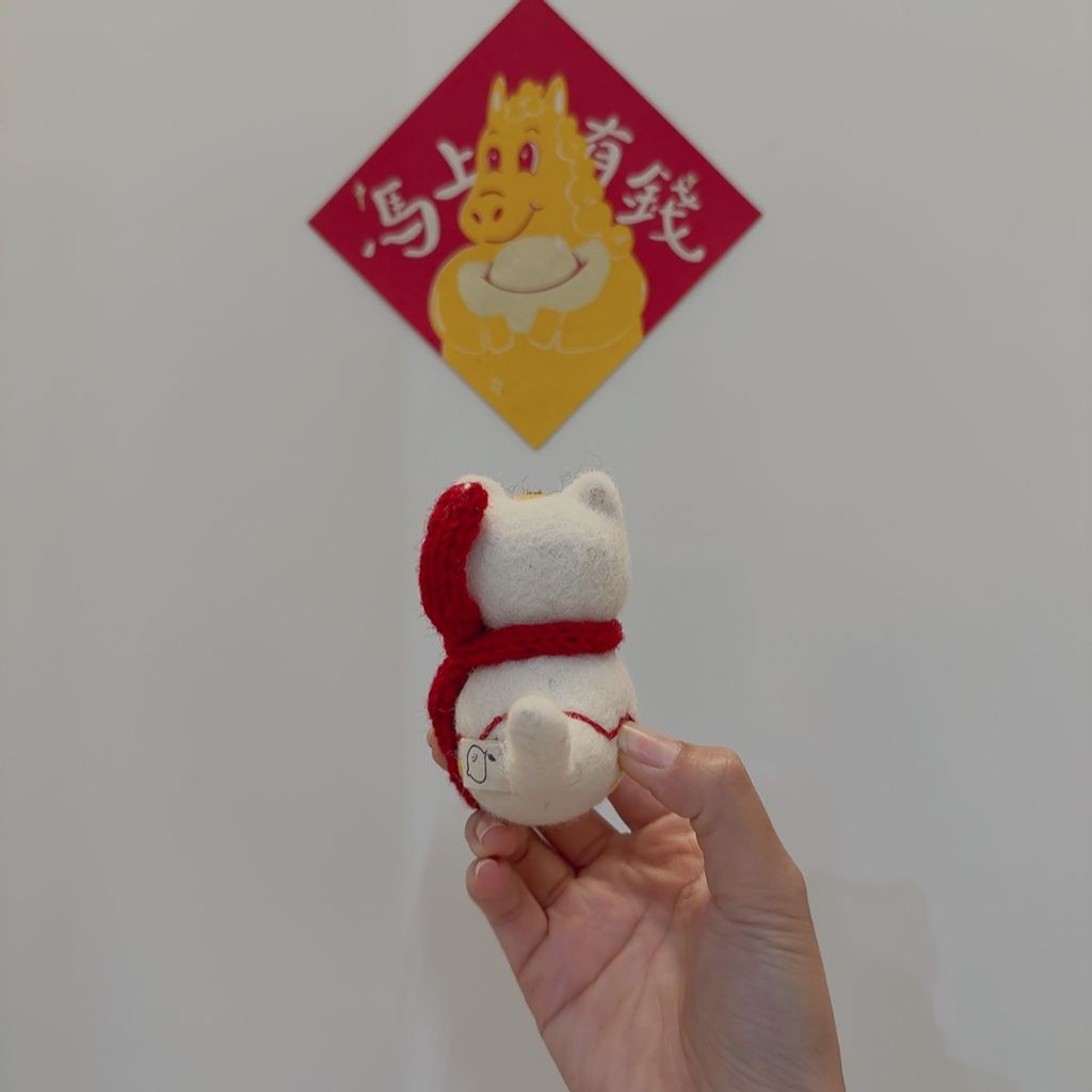 image_5398D64B-D1DD-4A2F-A7F7-BC89C561274B_1767799317