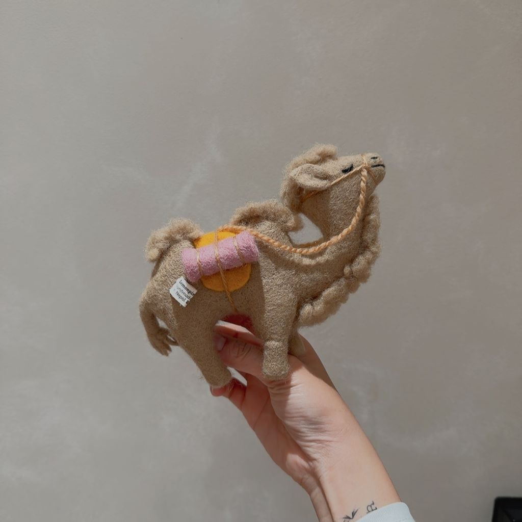 image_02616B61-CC30-4A10-BF06-9C789DD6A2C7_1768381348