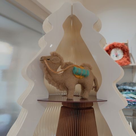 image_AC1A6435-C6BA-44F9-9BEB-6BDFF674D79F_1768381348