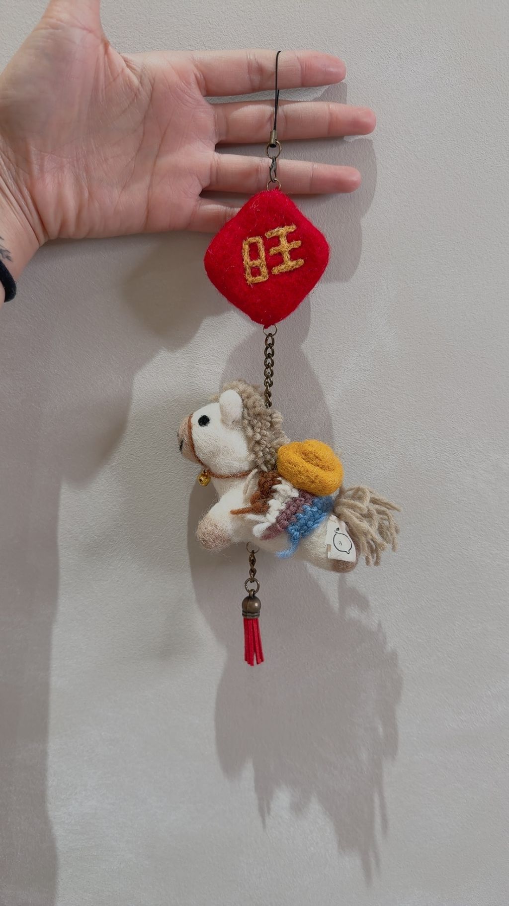 image_5DD29A19-E21F-4563-89F9-B4263DA12DD6_1768467694