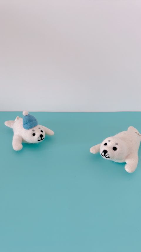 image_0F0908FD-3B32-4643-989A-F31EDCDFE40C_1768927200