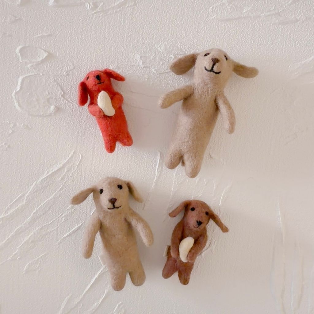 image_D228984C-B607-455E-8F59-8679AD38902C_1770640598