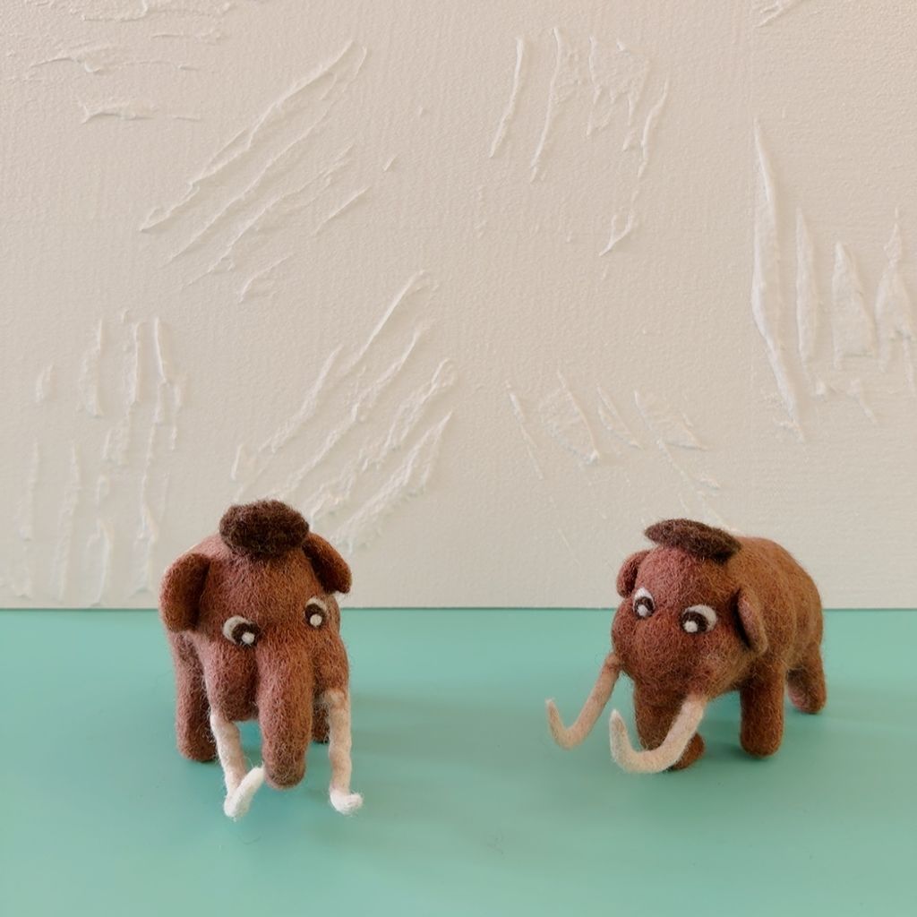 image_370EBB8C-C4B8-4D11-8760-D0E25041E135_1770643049