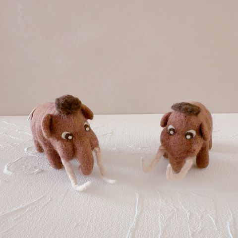 image_BF75505F-C13D-4BDE-88A4-326D16AC03ED_1770643049