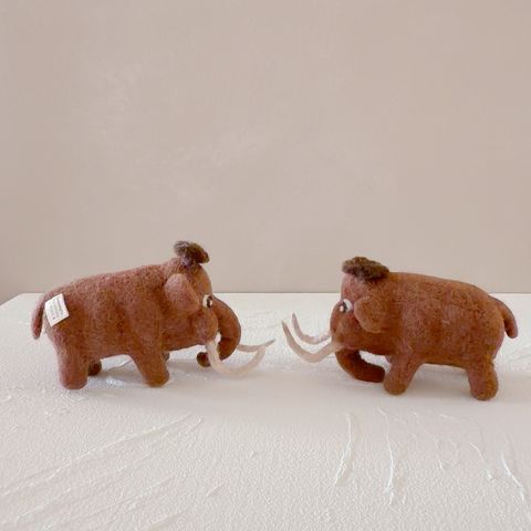 image_4EED4BCF-6D02-4F8E-B297-575D2342D380_1770643049