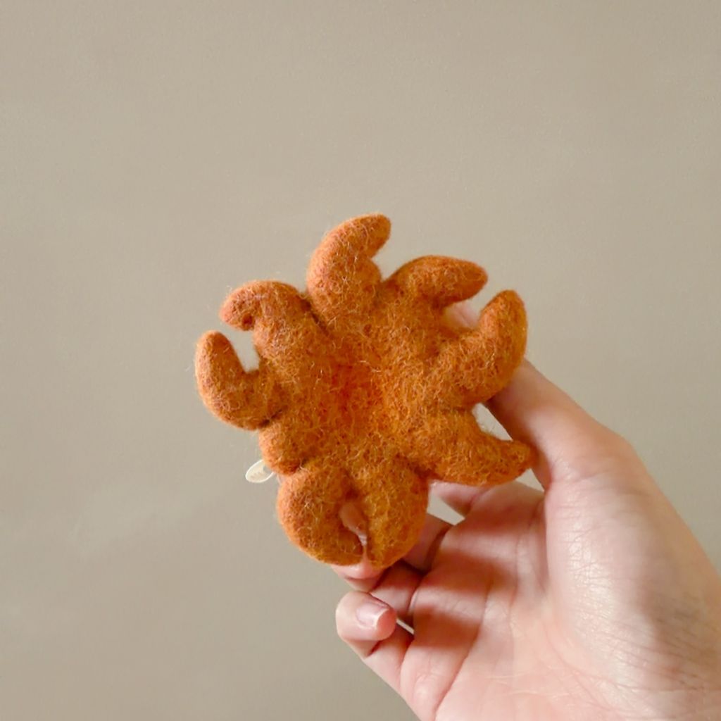 image_A0A1A811-B802-4D2B-8A4A-601CE6DBE304_1770647837