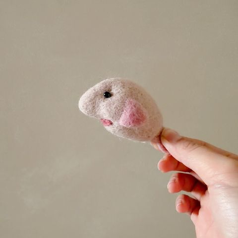 image_C8026B7C-24C4-4497-BF97-63C17611BF58_1770649202