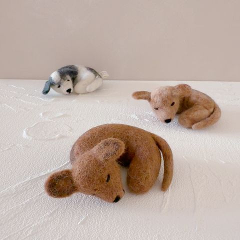 image_8D42CA78-4291-4923-A4A2-1962DE5229B8_1770652811