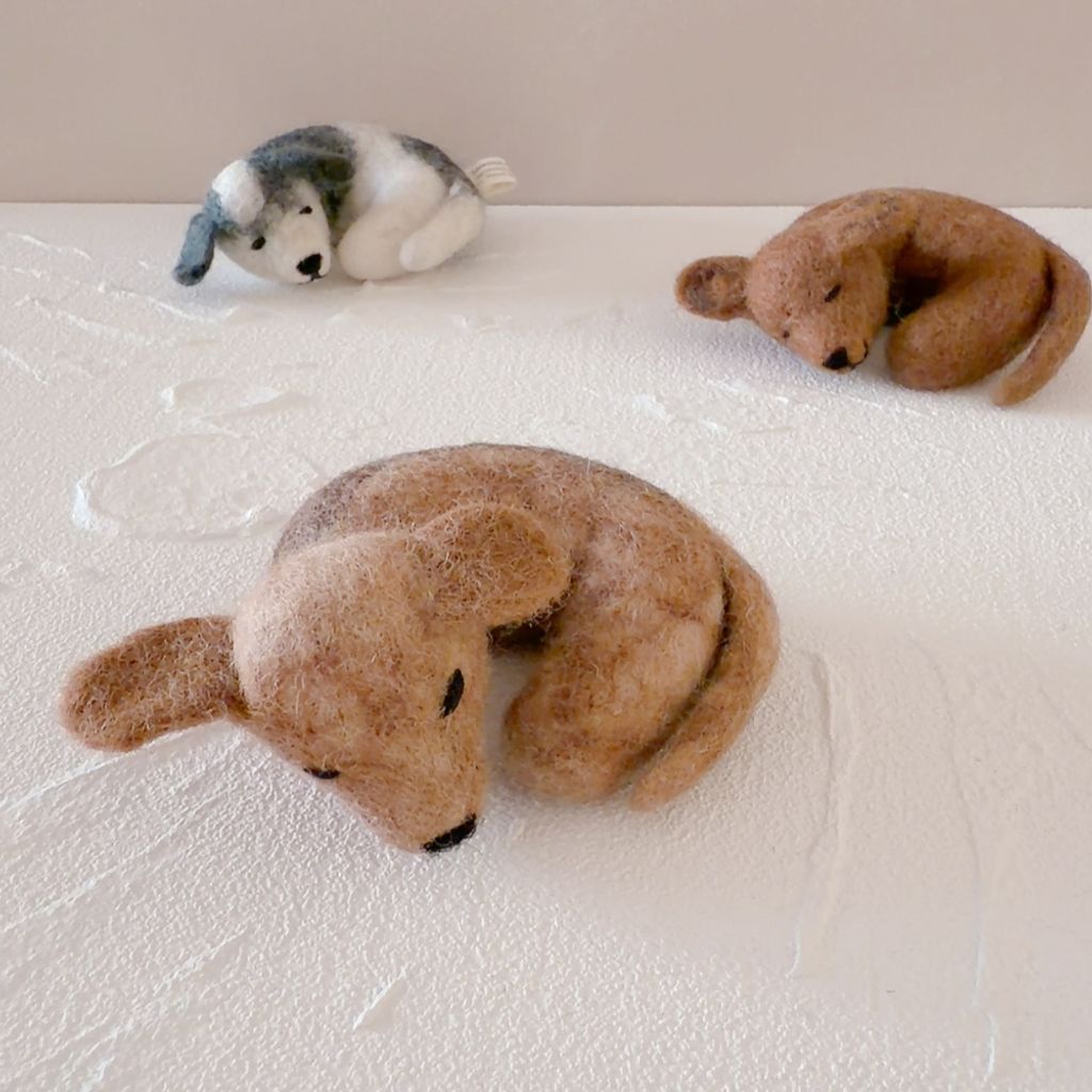 image_4E8E3CC2-C7F7-4AA0-A7A1-295379581813_1770652811